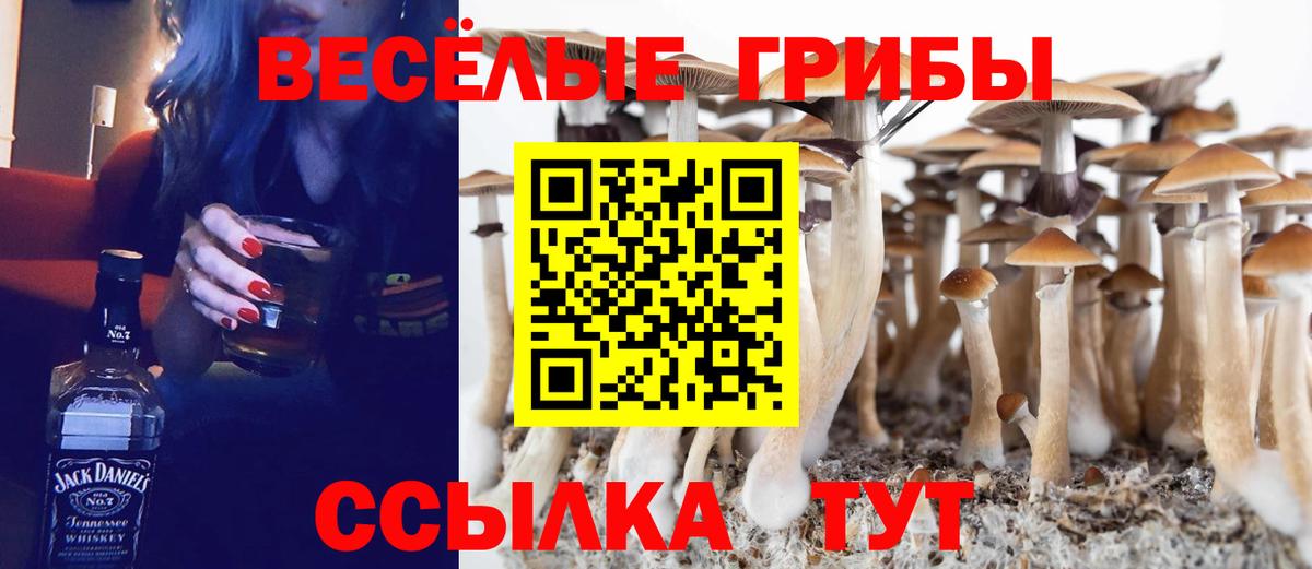 Галлюциногенные грибы Psilocybe  Псилоцибиновые грибы ЛСД  Сланцы  Вход с VPN 